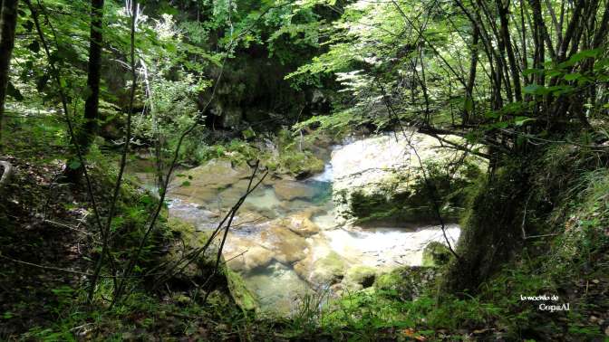 CopaAl_Nacedero_Urederra_07