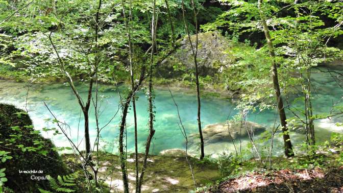 CopaAl_Nacedero_Urederra_08