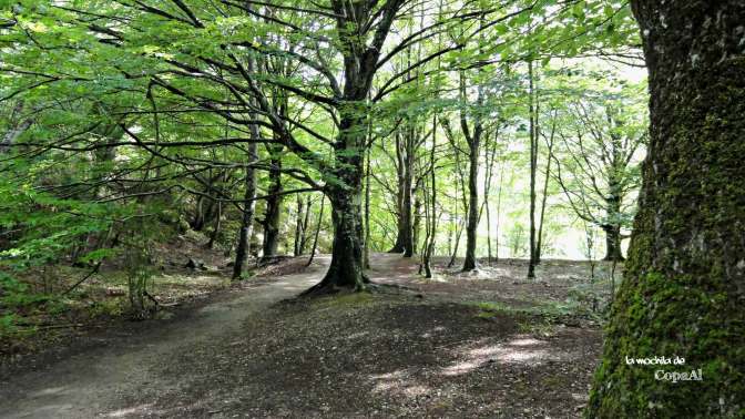 CopaAl_Nacedero_Urederra_09