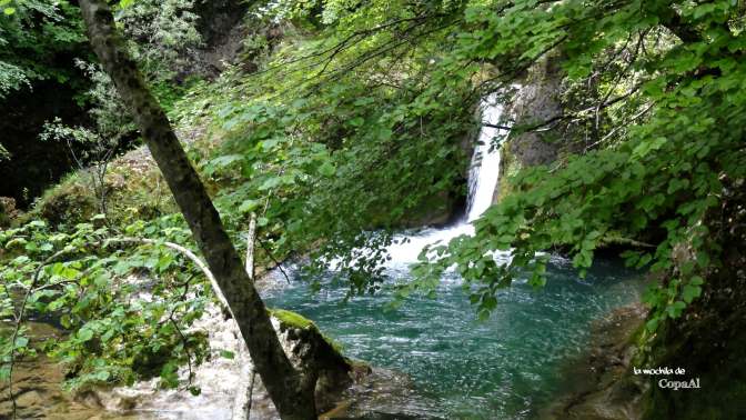 CopaAl_Nacedero_Urederra_10