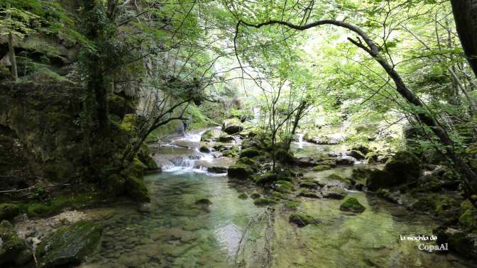 CopaAl_Nacedero_Urederra_11