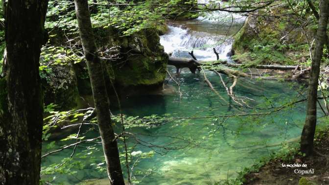 CopaAl_Nacedero_Urederra_12