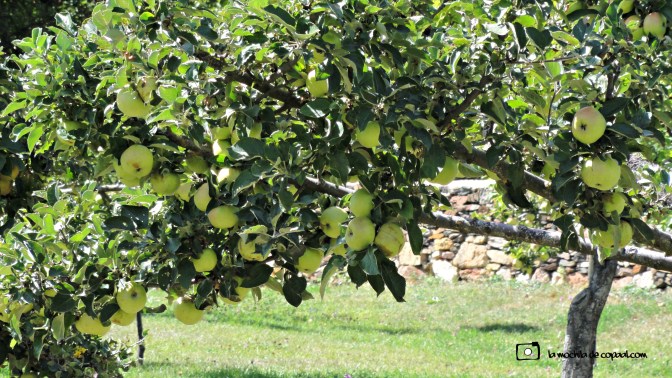 CopaAl_río_Aguisejo_18