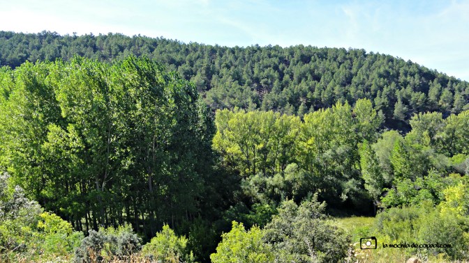 CopaAl_río_Aguisejo_25