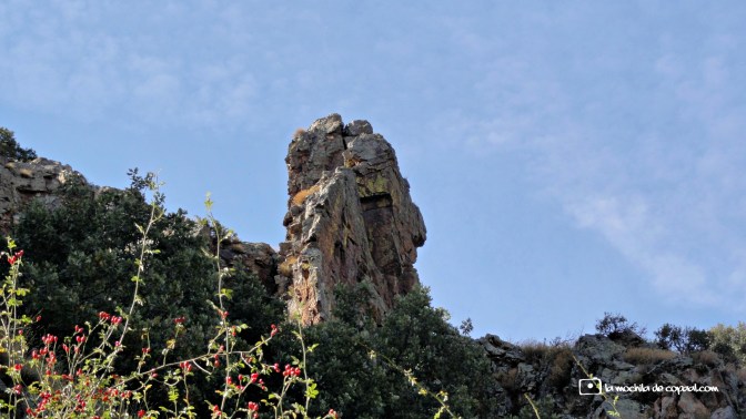 CopaAl_río_Aguisejo_27