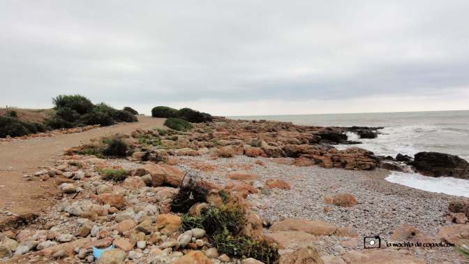 CopaAl_Sierra de Irta_10