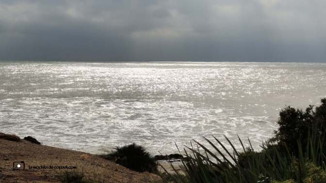 CopaAl_Sierra de Irta_12