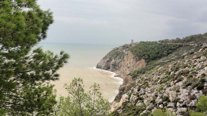 CopaAl_Sierra de Irta_19