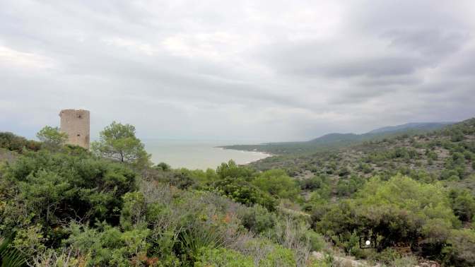 CopaAl_Sierra de Irta_23