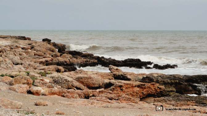 CopaAl_Sierra de Irta_25