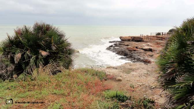 CopaAl_Sierra de Irta_26