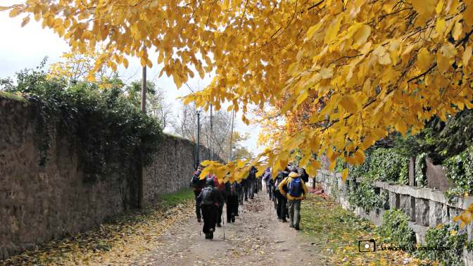 CopaAl_Los_Arroyos_del_Mar_00