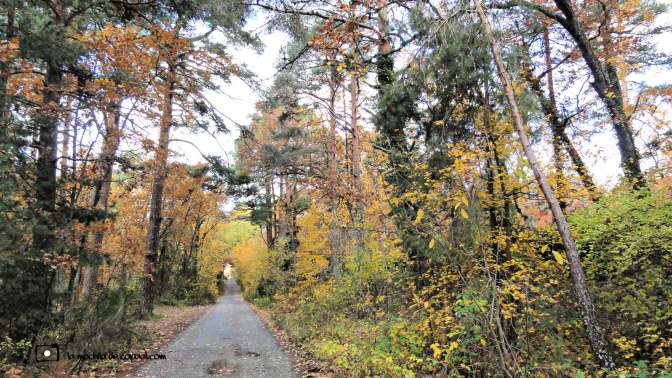 CopaAl_Los_Arroyos_del_Mar_02