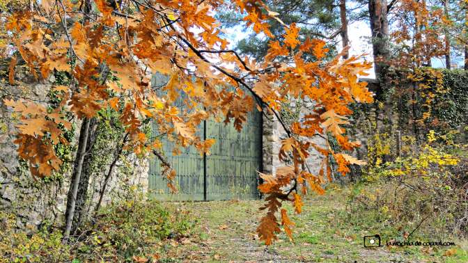 CopaAl_Los_Arroyos_del_Mar_05