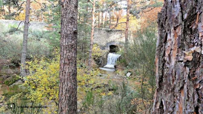 CopaAl_Los_Arroyos_del_Mar_07