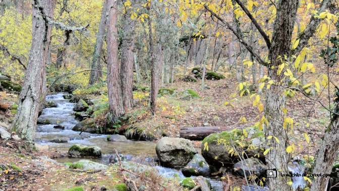 CopaAl_Los_Arroyos_del_Mar_08