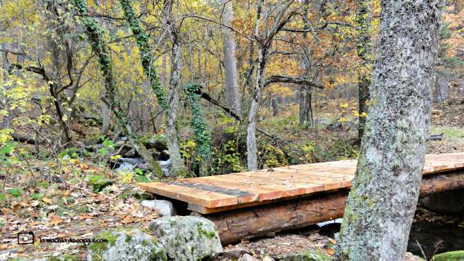 CopaAl_Los_Arroyos_del_Mar_09