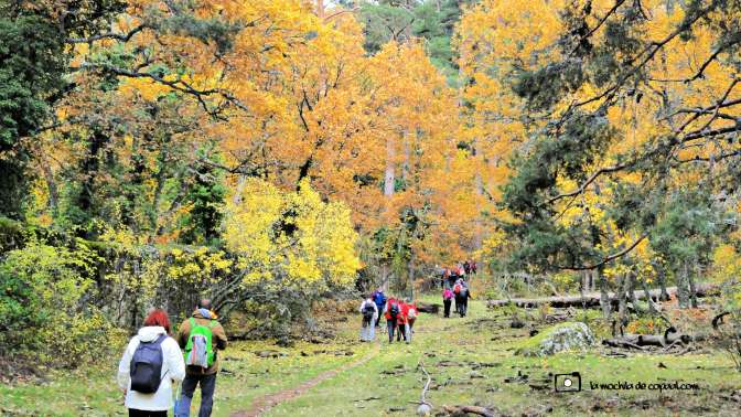 CopaAl_Los_Arroyos_del_Mar_11