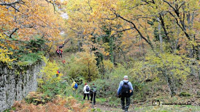 CopaAl_Los_Arroyos_del_Mar_13