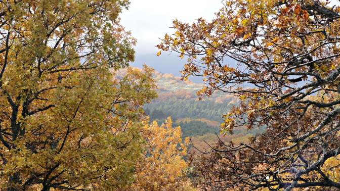 CopaAl_Los_Arroyos_del_Mar_15