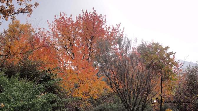 CopaAl_Los_Arroyos_del_Mar_16