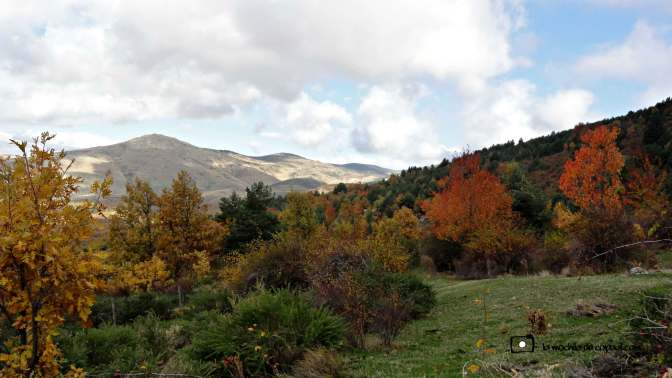 CopaAl_Los_Arroyos_del_Mar_19