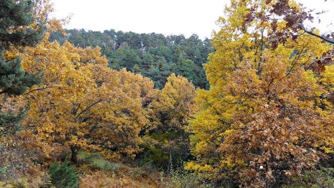 CopaAl_Los_Arroyos_del_Mar_22