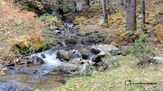 CopaAl_Los_Arroyos_del_Mar_23