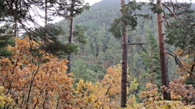 CopaAl_Los_Arroyos_del_Mar_24