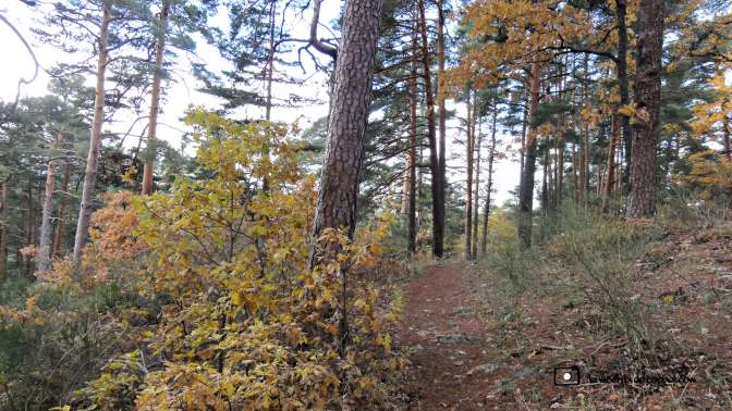 CopaAl_Los_Arroyos_del_Mar_25