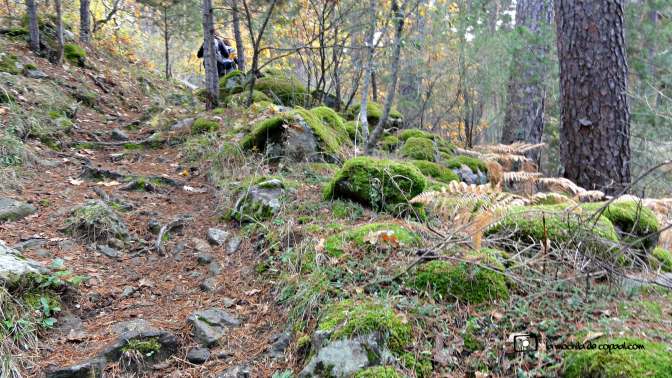 CopaAl_Los_Arroyos_del_Mar_26