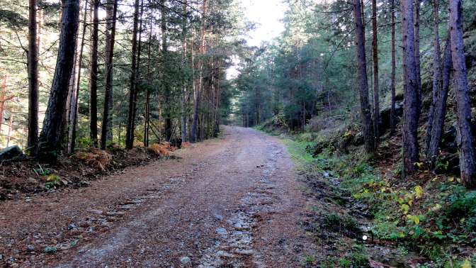 CopaAl_Los_Arroyos_del_Mar_27