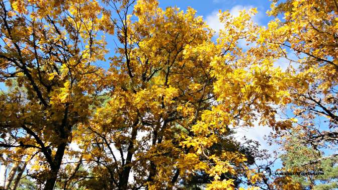 CopaAl_Los_Arroyos_del_Mar_28