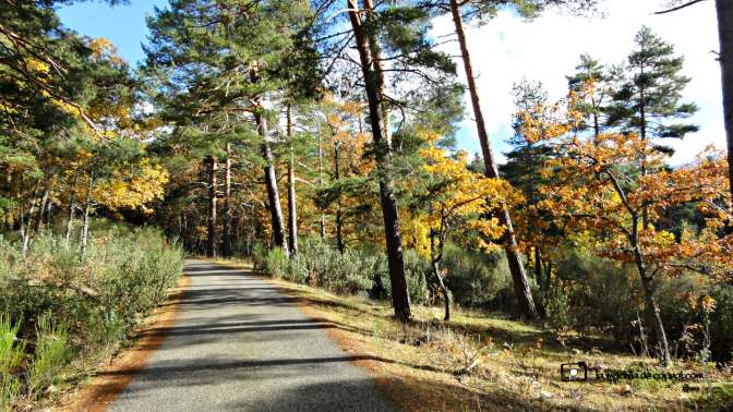 CopaAl_Los_Arroyos_del_Mar_29