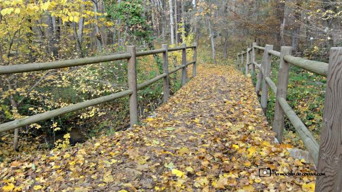 CopaAl_Los_Arroyos_del_Mar_30