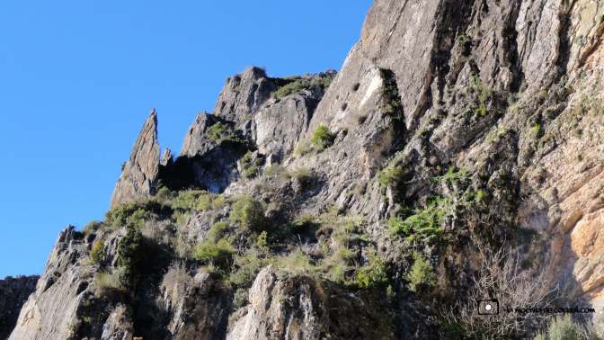 copaal_ermita_n.s.desamparados_04