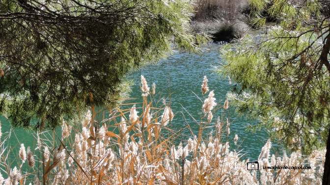 copaal_ermita_n.s.desamparados_05