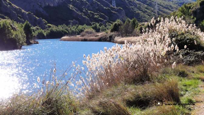 copaal_ermita_n.s.desamparados_07