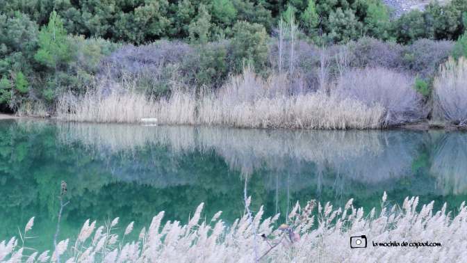 copaal_ermita_n.s.desamparados_28