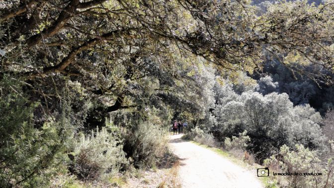 ruta-cañón-río-guadalix