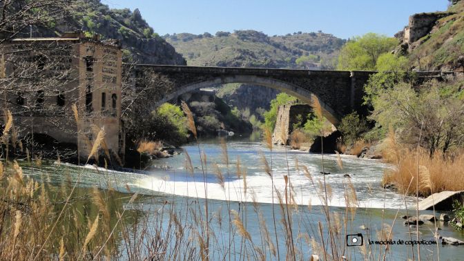 CopaAl-Senda-Natural-Tajo-Toledo-05