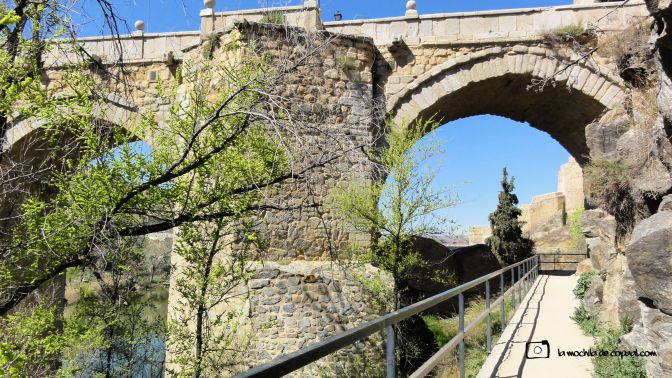 Senda-natural-del-tajo