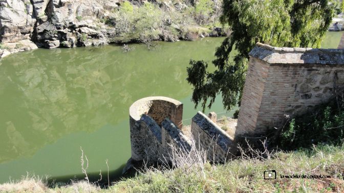 CopaAl-Senda-Natural-Tajo-Toledo-22