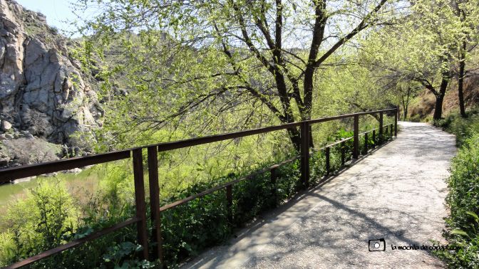 CopaAl-Senda-Natural-Tajo-Toledo-23