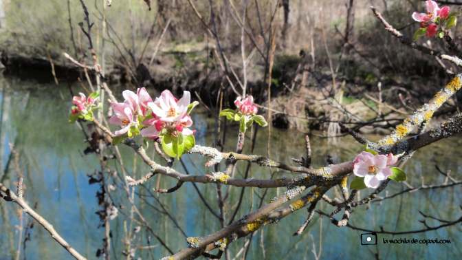 senderismo primavera