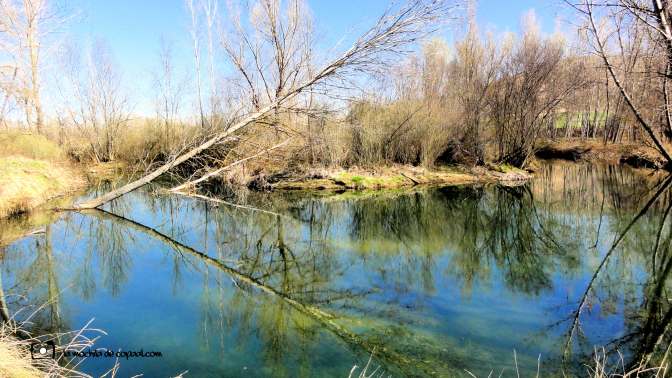 reflejos rio duraton