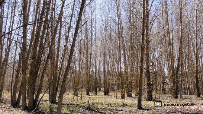 chopera-rutas-senderismo