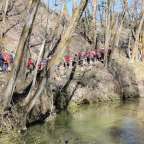 Senda de la Vega y Sendas de los Barrancos del Duratón. Tres en una ruta.