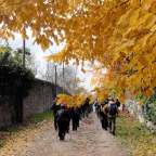 Equipación básica para senderismo. ¿Qué me pongo?