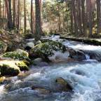 Senda de Las Pesquerías Reales. Valsaín a Baño de Venus. (II)